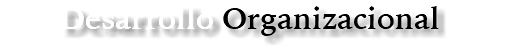 Desarrollo Organizacional